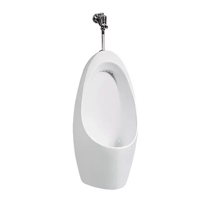 Wellis Evolo